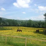 Carrigeen Glamping