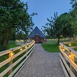Apple Blossom Glamping