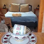 Glamping At Treegrove
