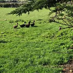 Farm View Lodge
