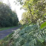 Tig Na Coille B&B Country House