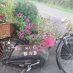 Tig Na Coille B&B Country House