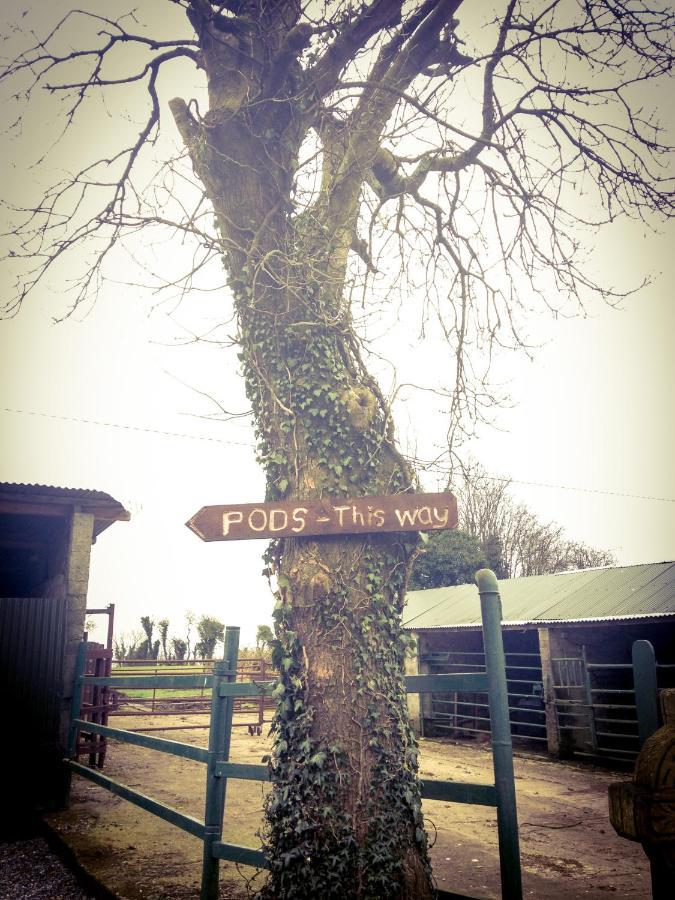 Carrigeen Glamping *