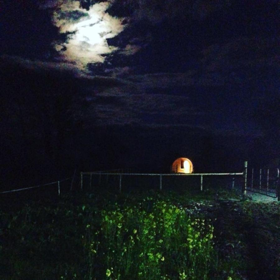 Carrigeen Glamping *