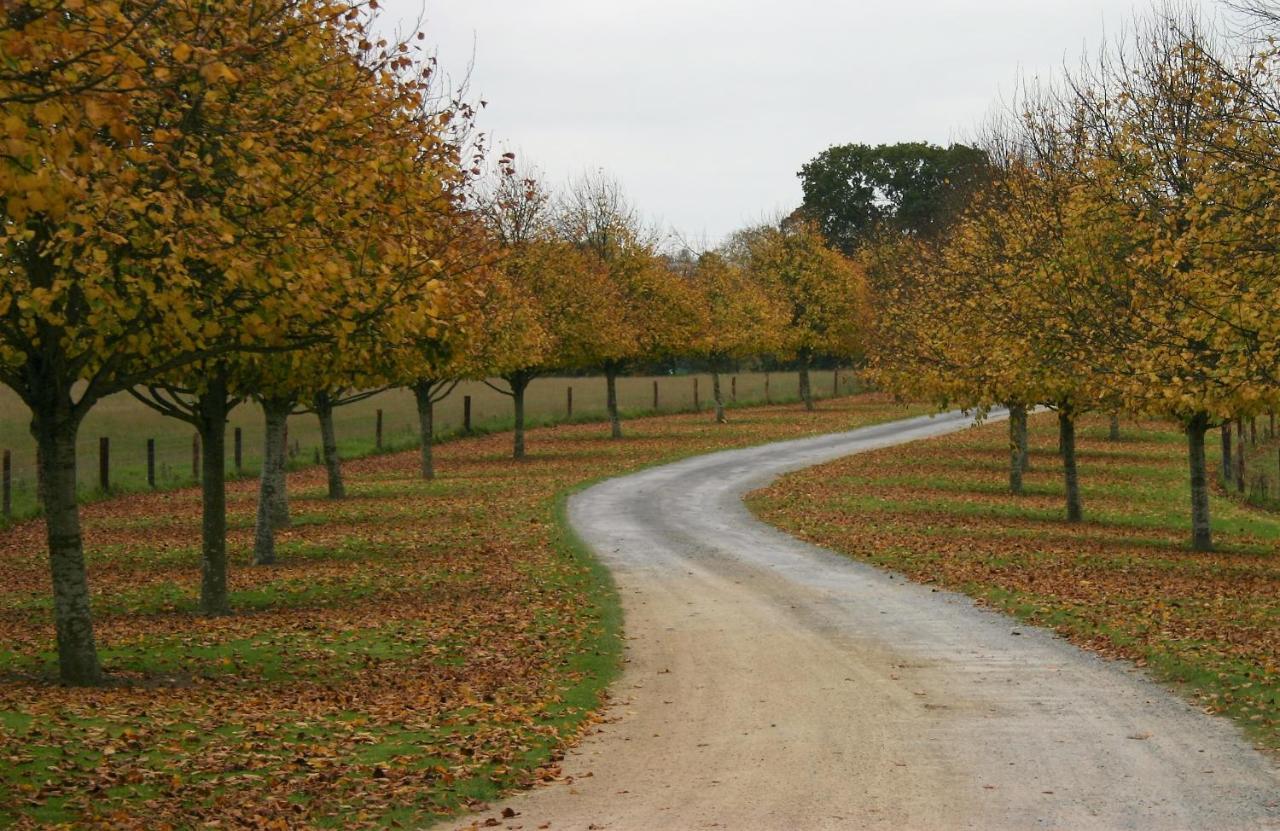 Farm stay Jerpoint Park Kilkenny