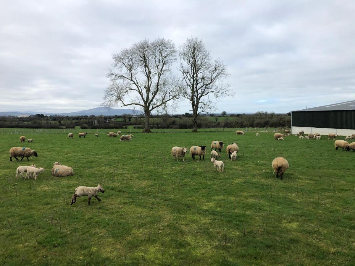 Knockreagh Farm Cottages, Callan, Holiday home *