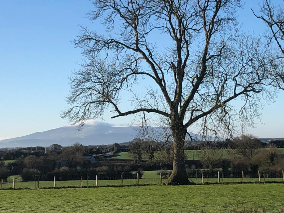 Knockreagh Farm Cottages, Callan, Holiday home *