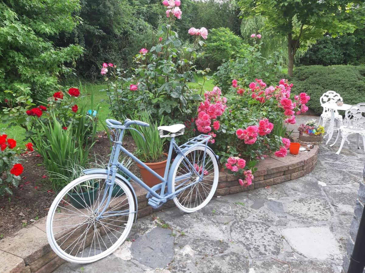 Guest house Newlands Kilkenny