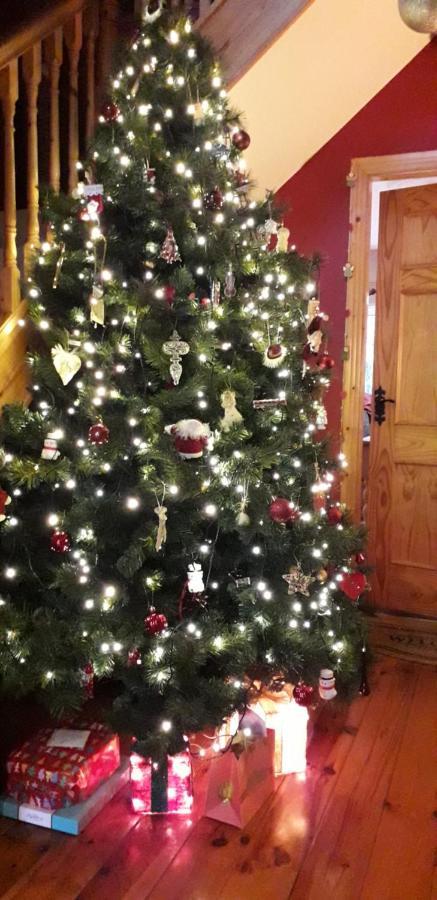 Newlands 4* Kilkenny