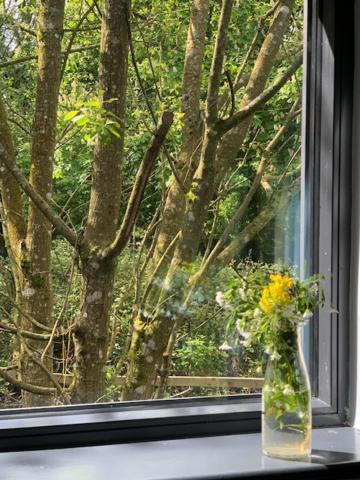 Alder Lodge *