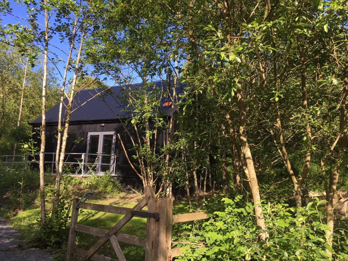 Lodge Alder