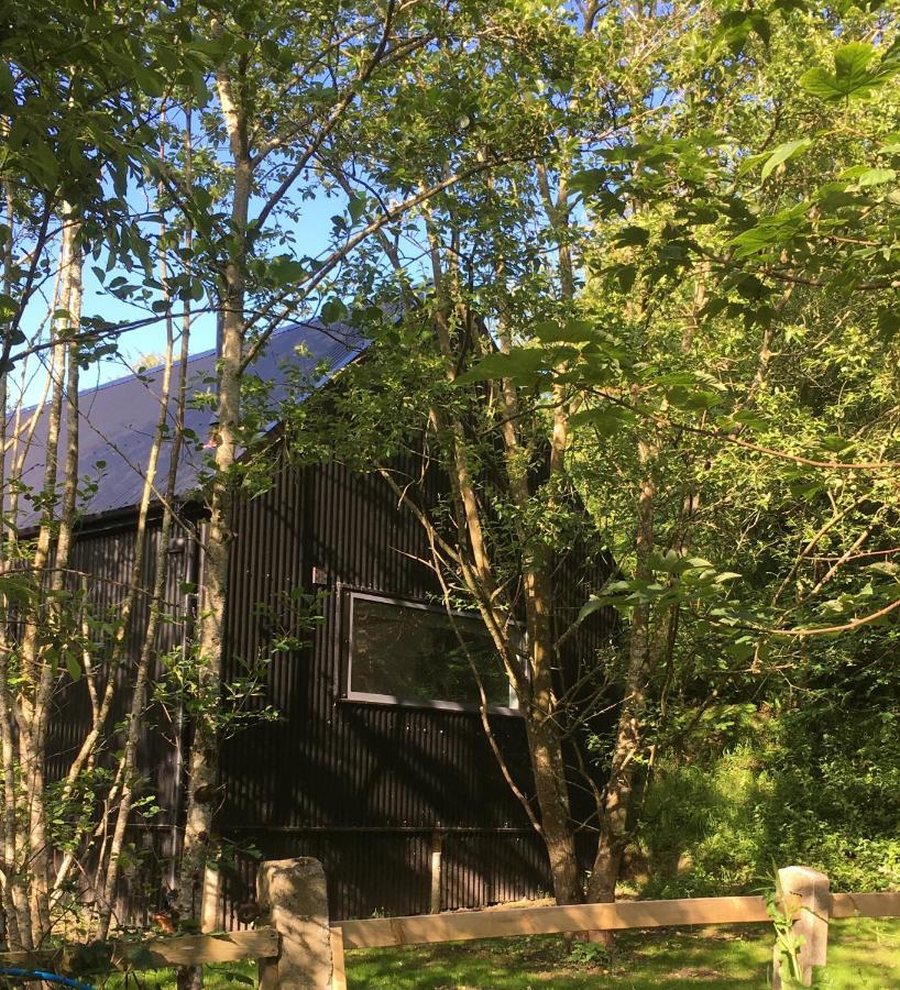 Alder Kilkenny