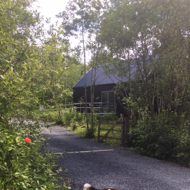 Alder Lodge