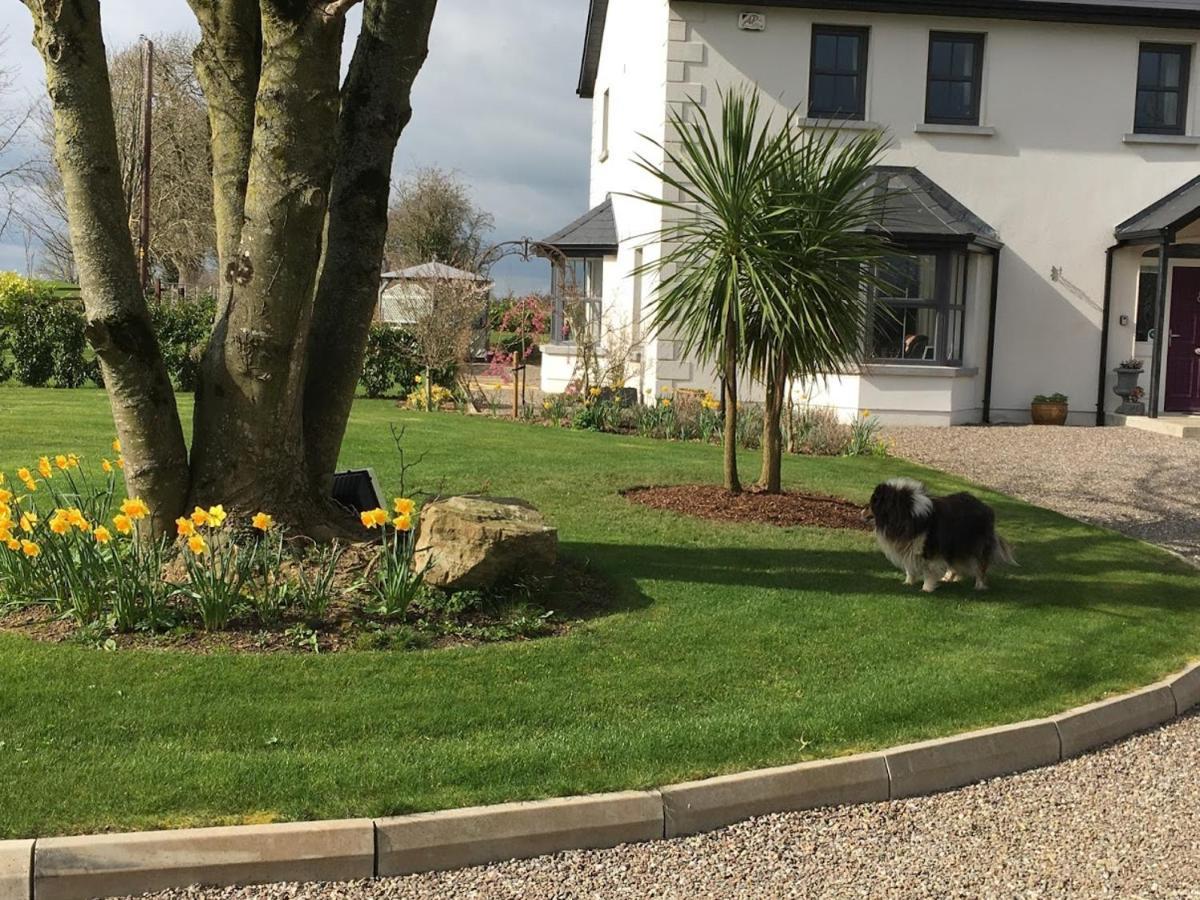 Kilbawn Country House Bed & Breakfast Kilkenny