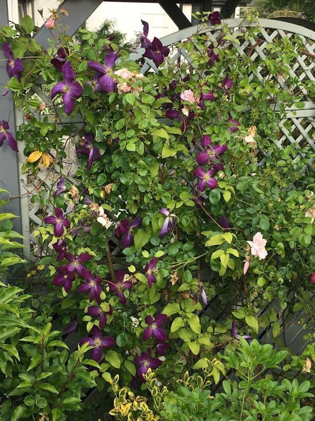 Kilbawn Country House Bed & Breakfast Kilkenny