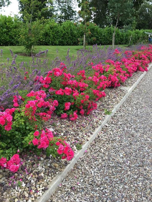 Kilbawn Country House Kilkenny