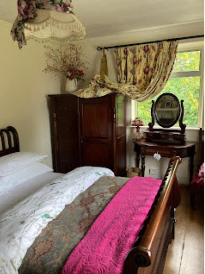 Budget Double In City Homestay