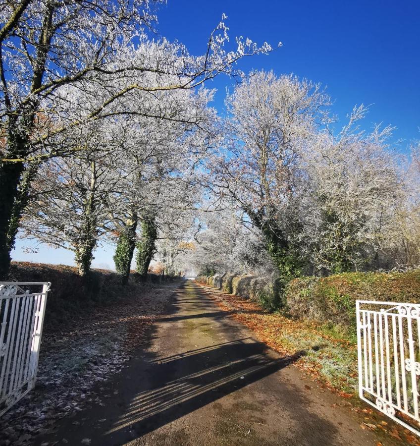 Knockreagh Farm Cottages, Callan, * Kilkenny