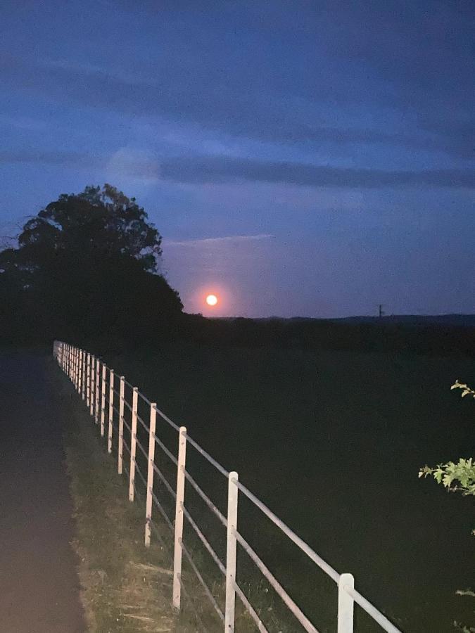 Knockreagh Farm Mountain Or Cedar Views Kilkenny