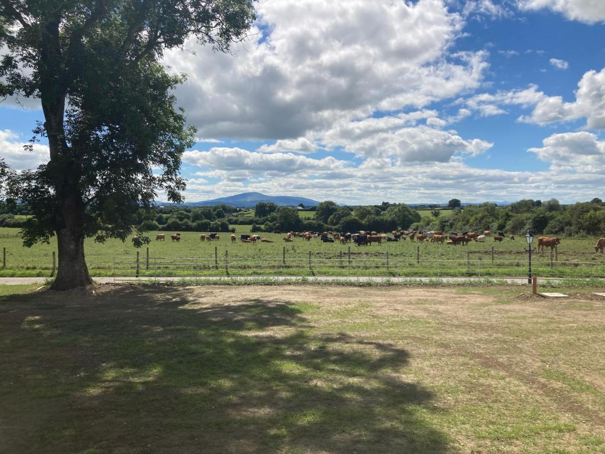 Knockreagh Farm Mountain Or Cedar Views Kilkenny
