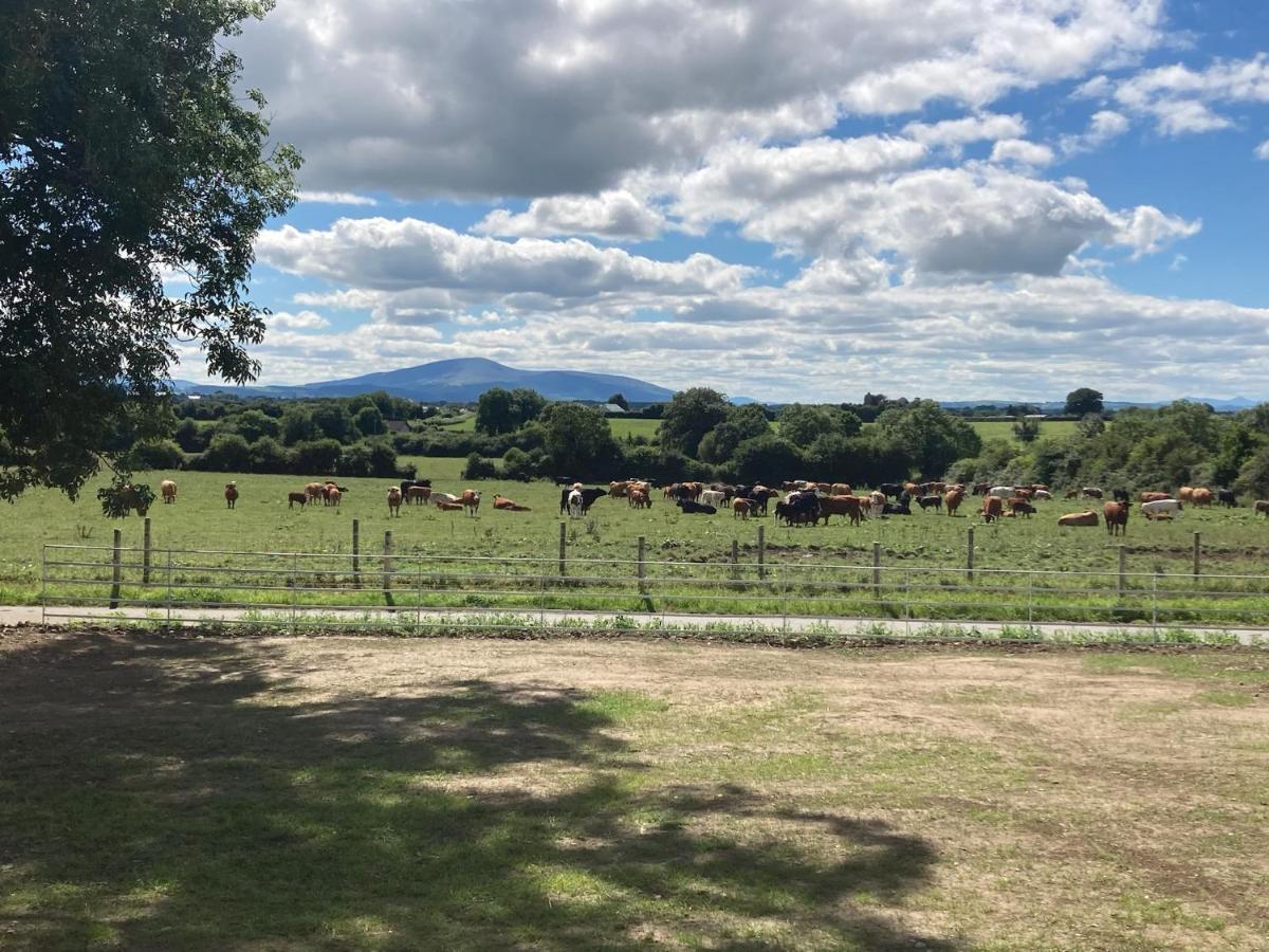 Knockreagh Farm Mountain Or Cedar Views Kilkenny