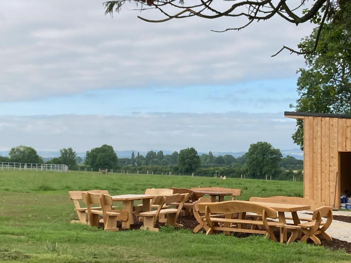 Knockreagh Farm Mountain Or Cedar Views