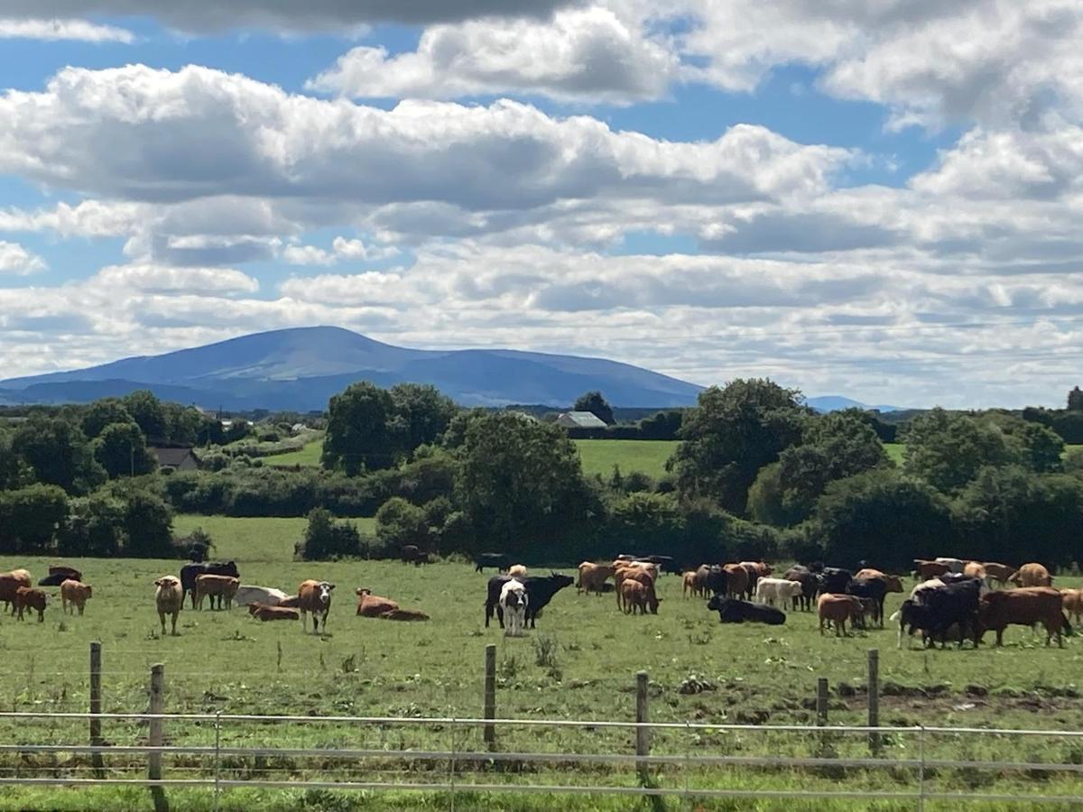 Knockreagh Farm Mountain Or Cedar Views Holiday home Kilkenny