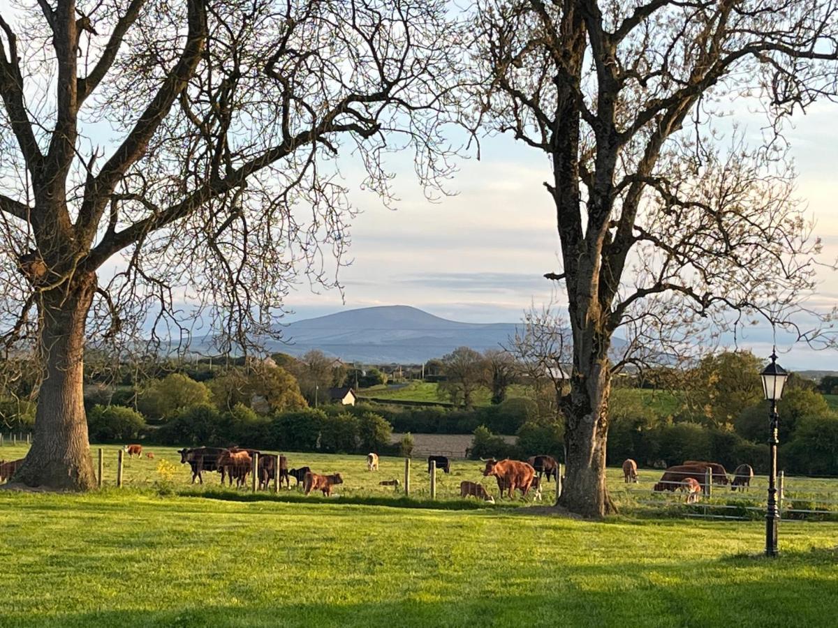 Knockreagh Farm Mountain Or Cedar Views Holiday home