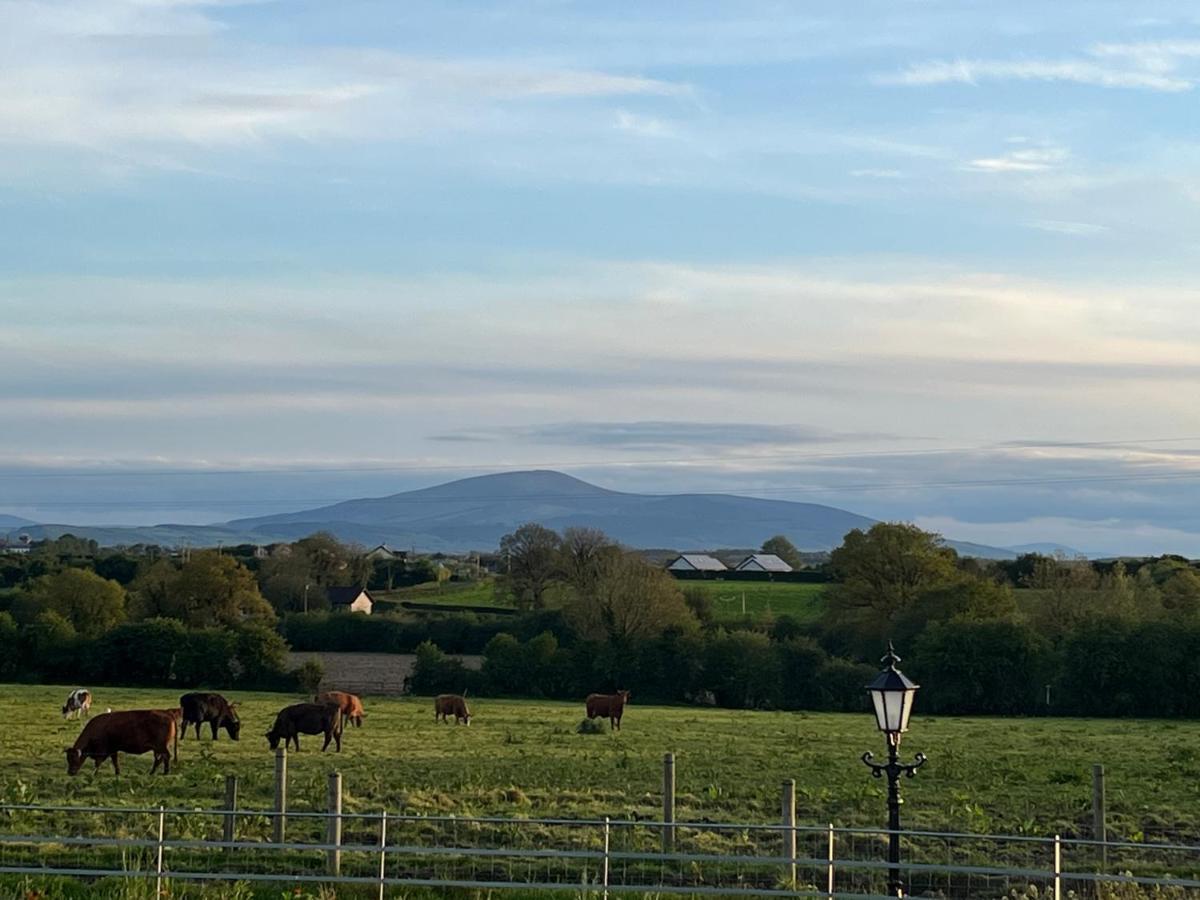 Knockreagh Farm Mountain Or Cedar Views Holiday home *