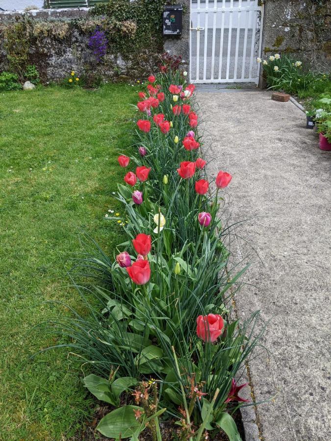Chalet Desart School Garden *