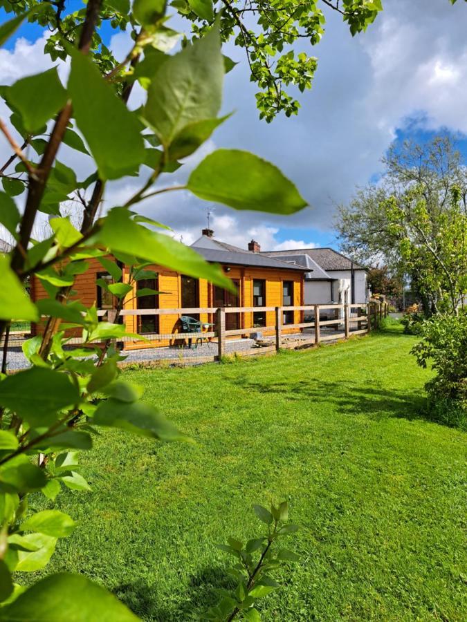 Desart School Garden Kilkenny