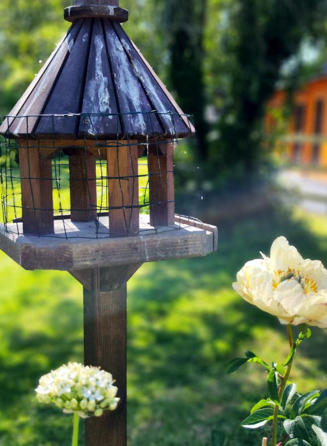 Desart School Garden Chalet Kilkenny