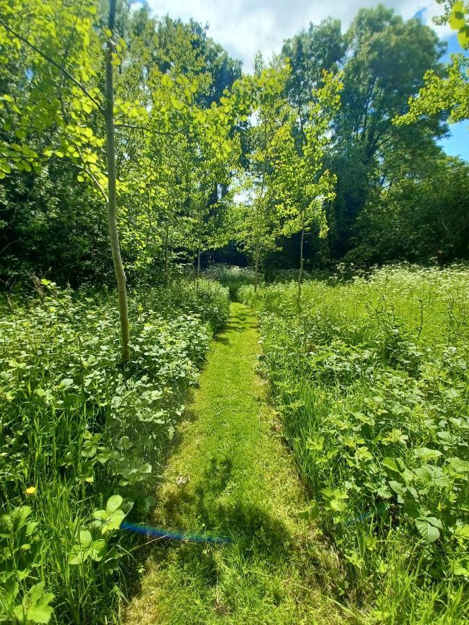 Desart School Garden