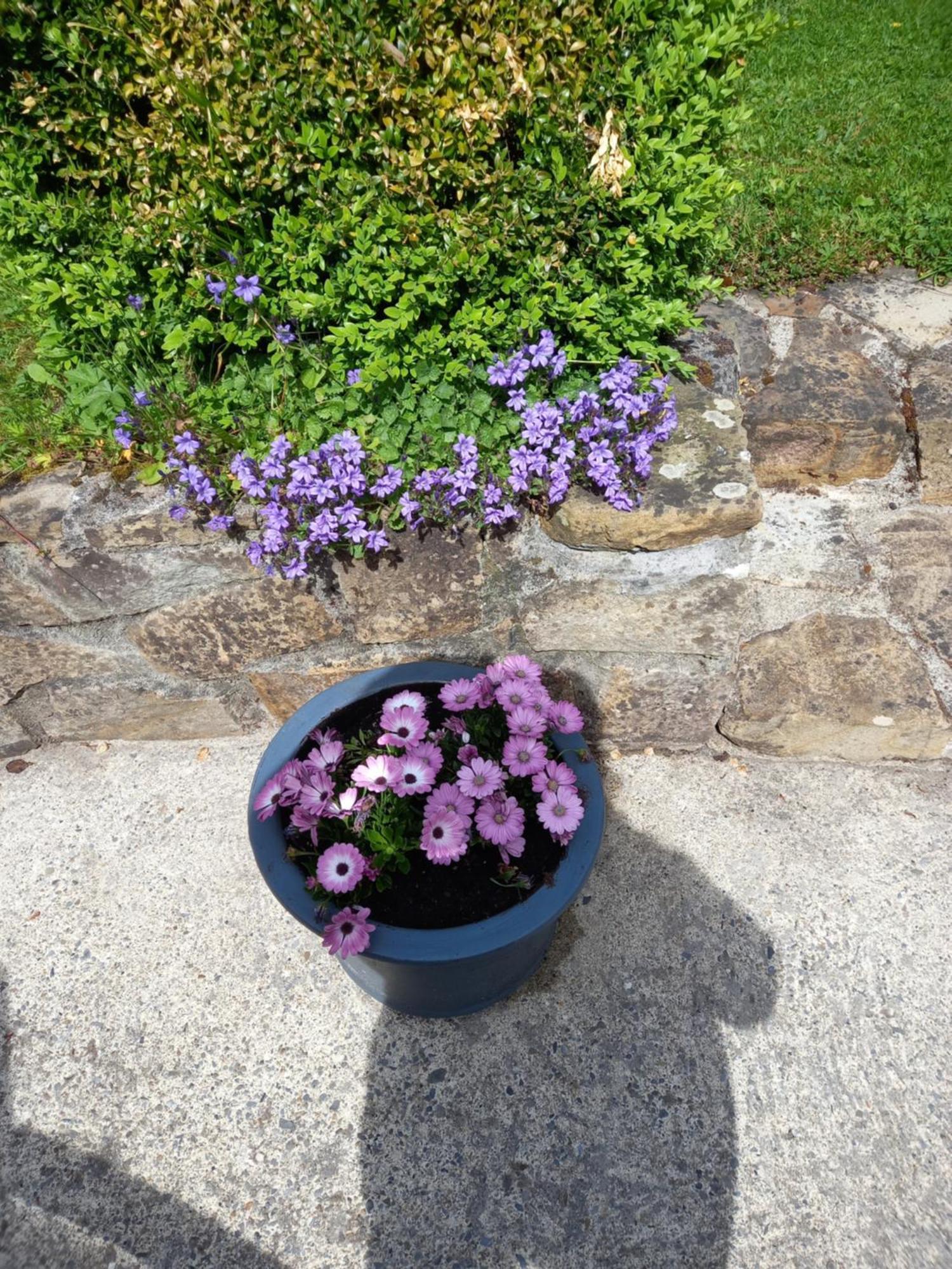 Bed & Breakfast Carraig Rua 3*