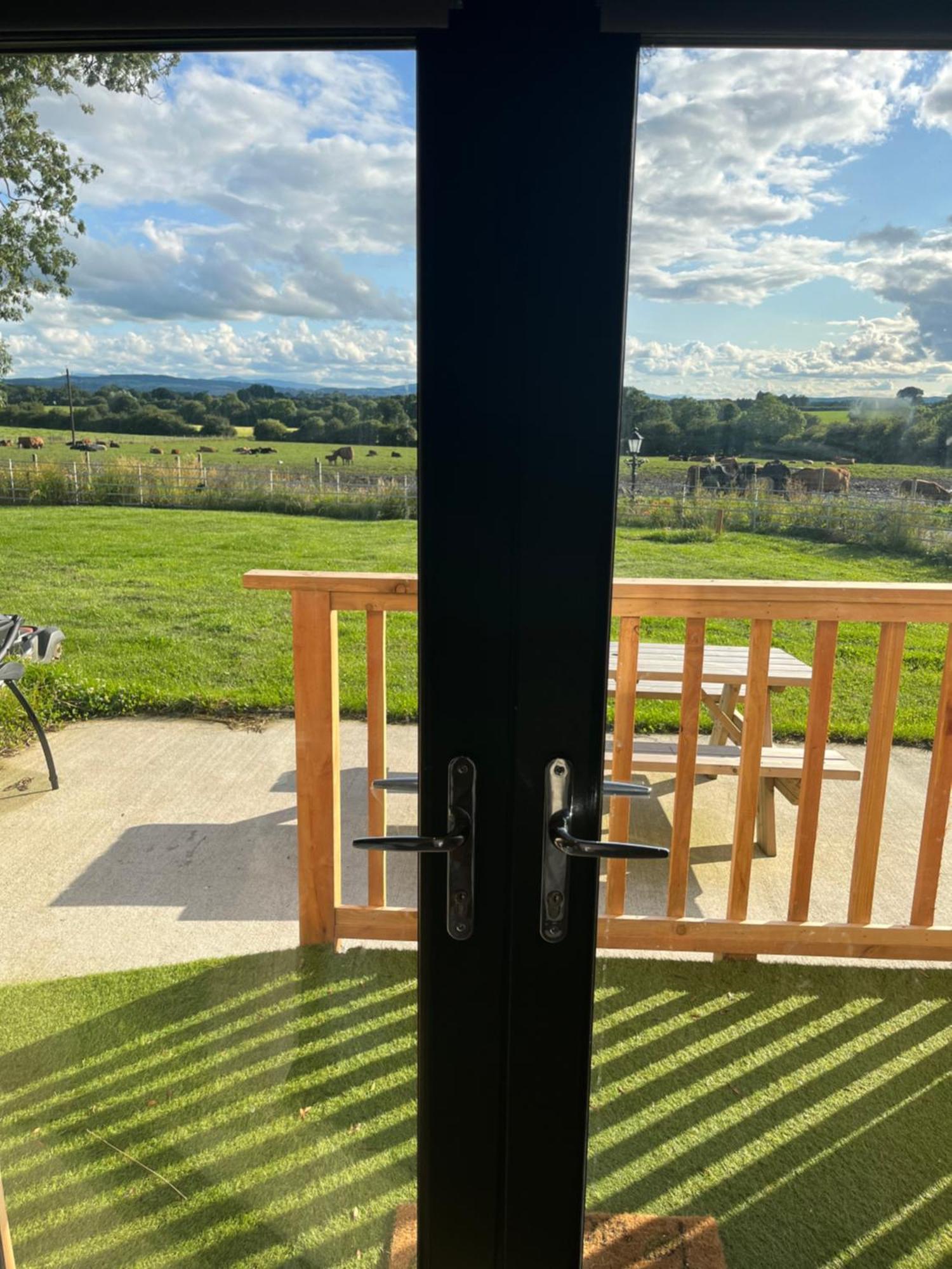 Knockreagh Farm Mountain Or Cedar Views