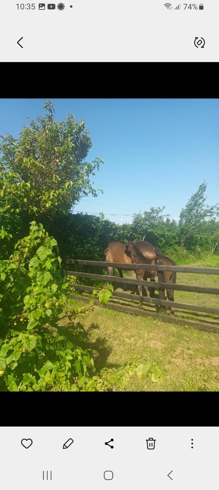 Charming Country Homestead Holiday home Kilkenny
