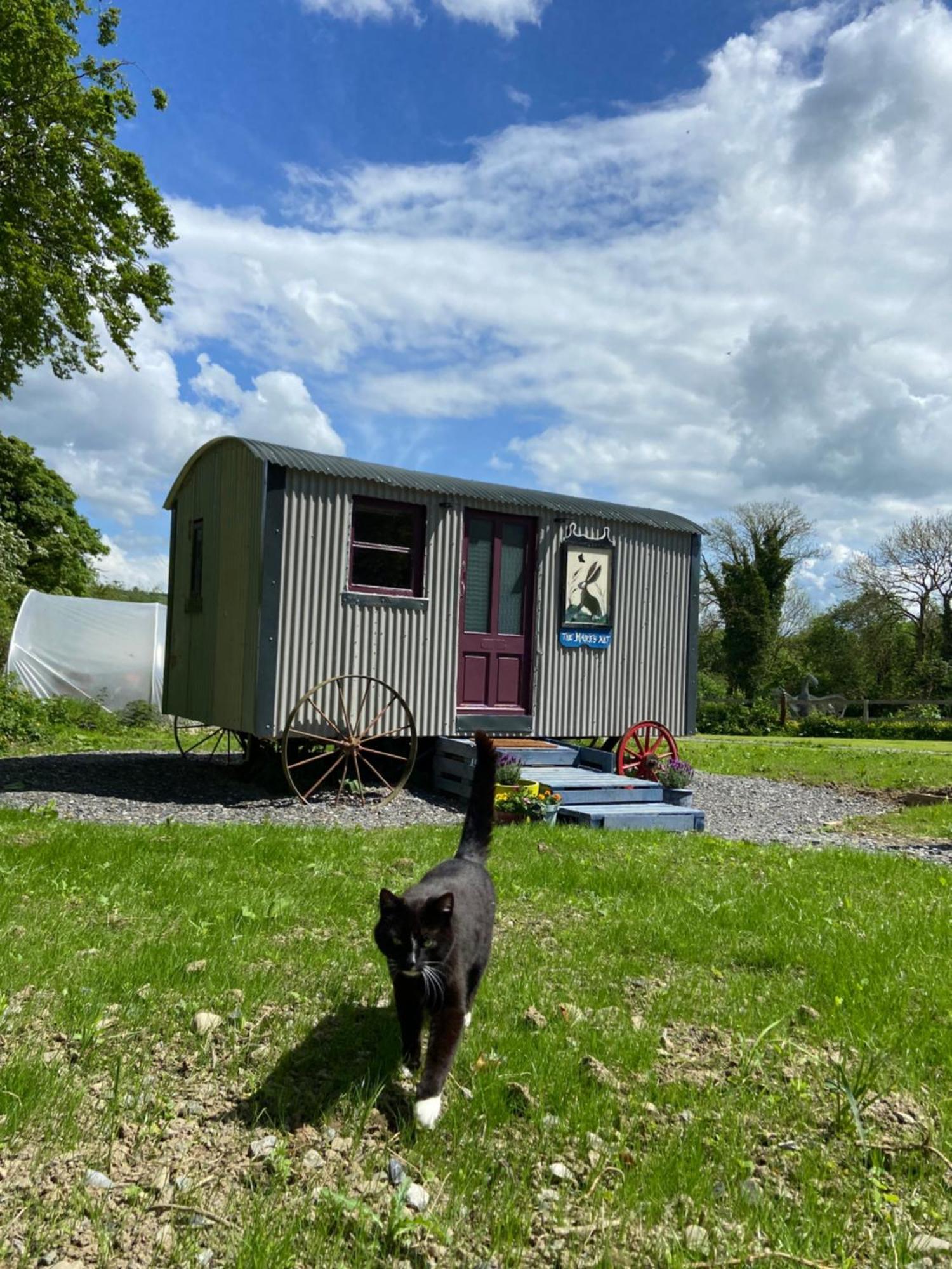 The Hares Hut At Carrigeen Glamping Campsite *