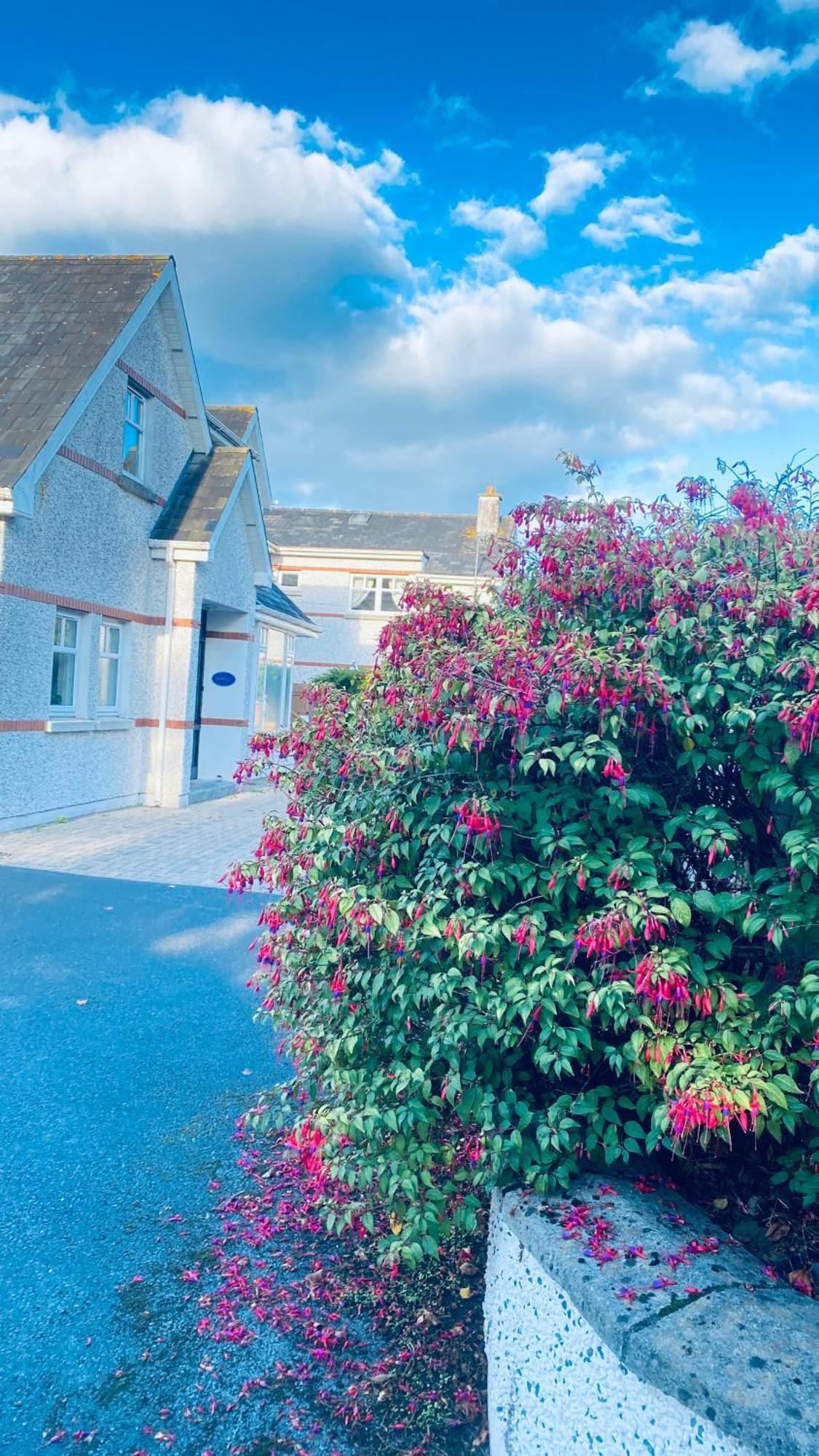 Sonas House Kilkenny