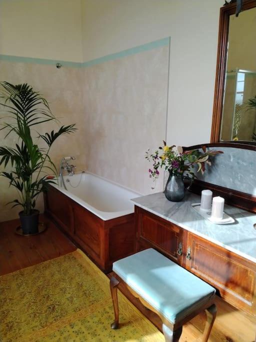 Holiday home Jenkinstown Castle House *