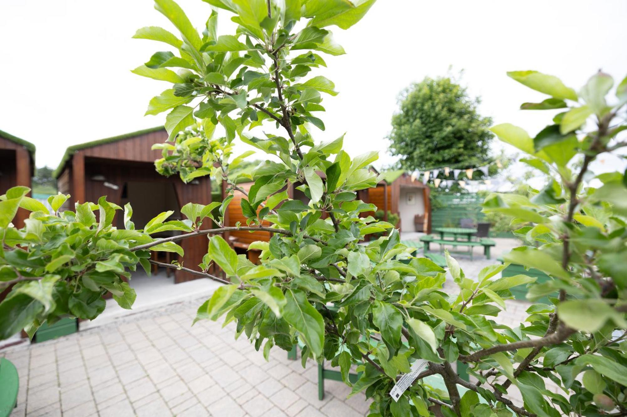 Hotel The Orchard House 4*