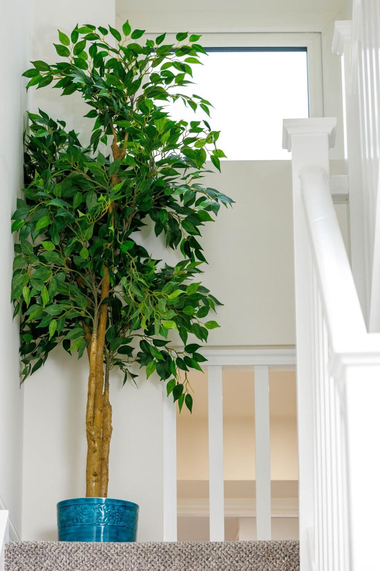 Bed & Breakfast Sandbury Town House *