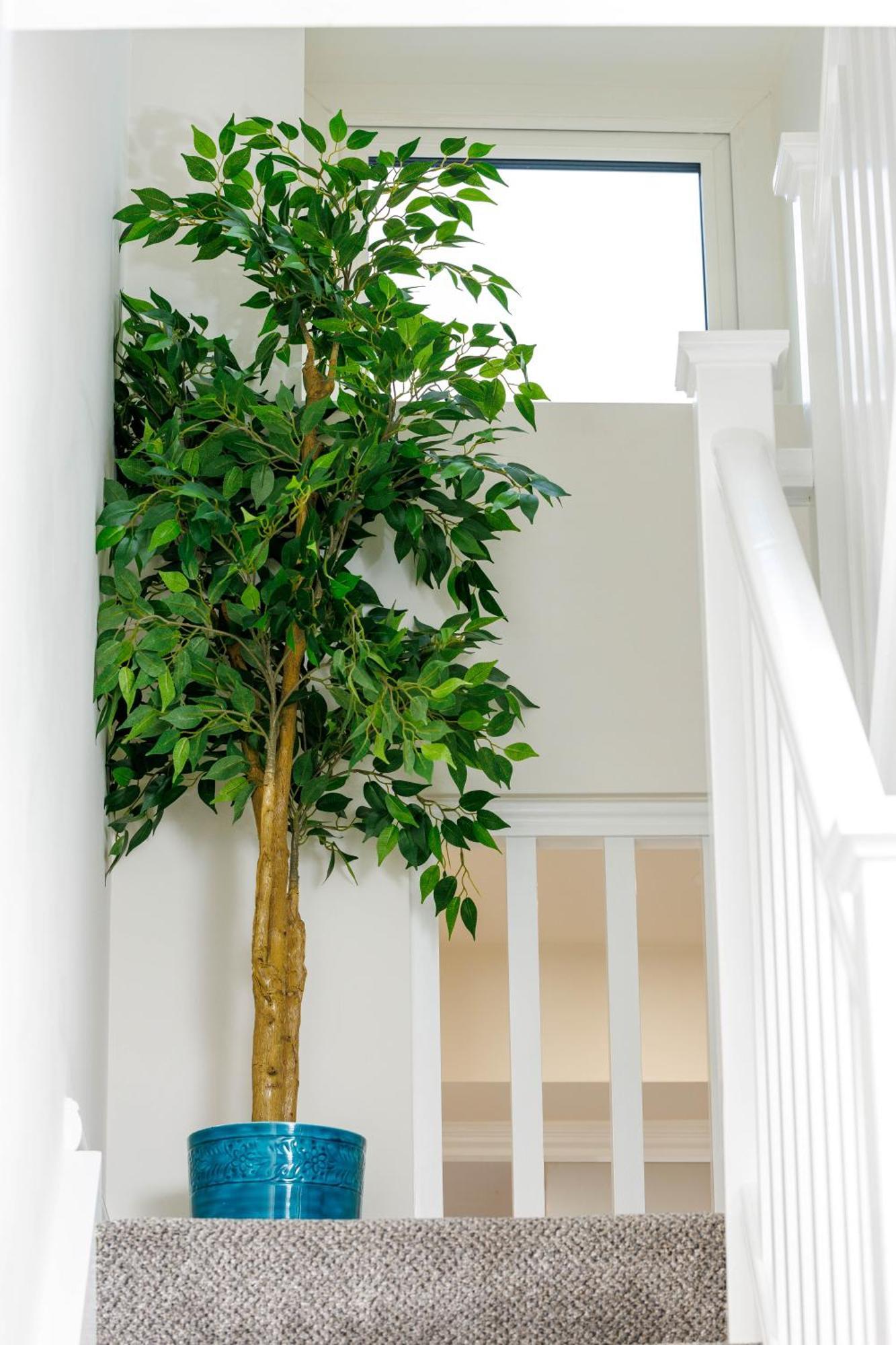 Bed & Breakfast Sandbury Town House Kilkenny