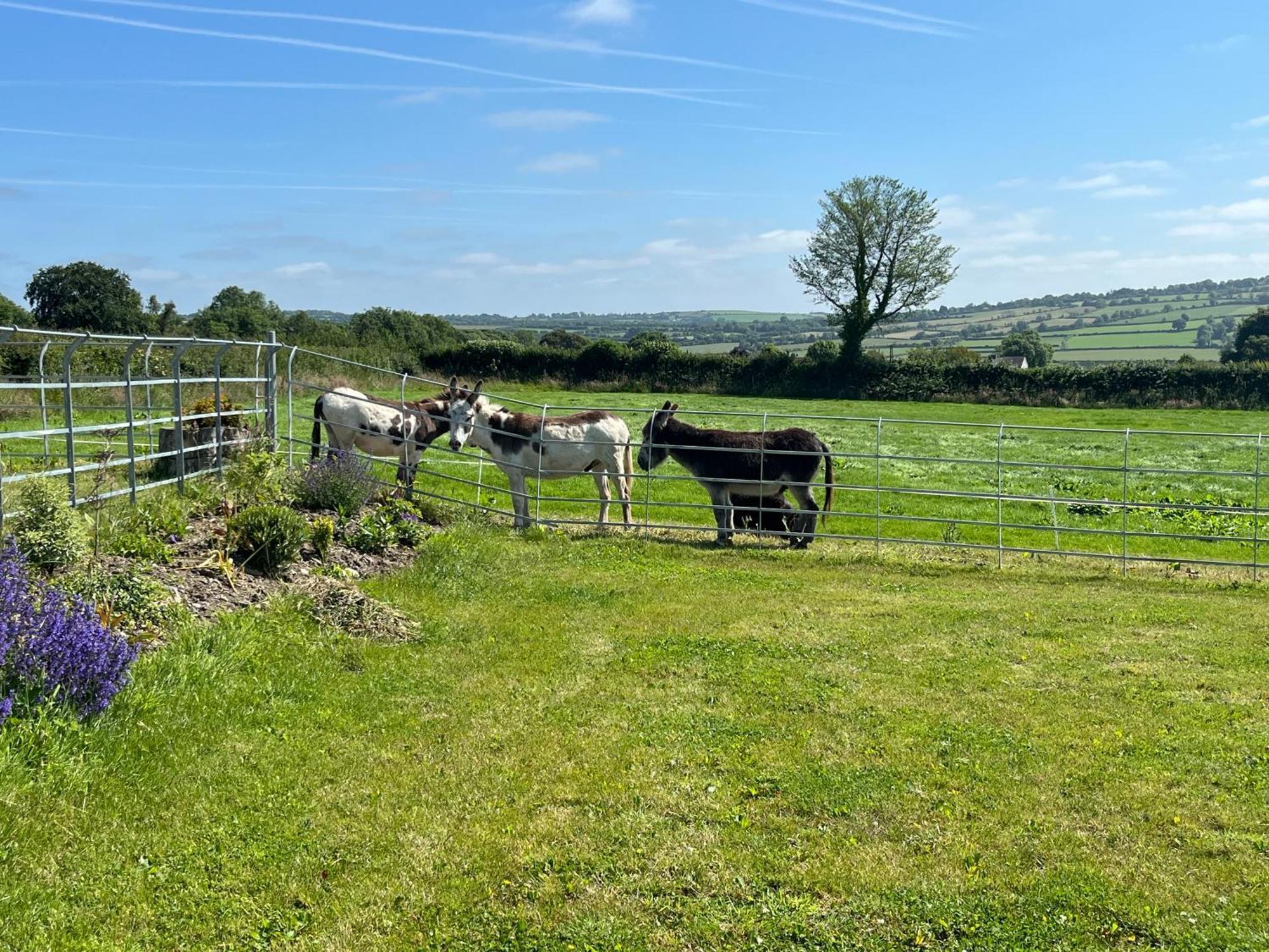 The Barn At The Old Rectory Holiday home