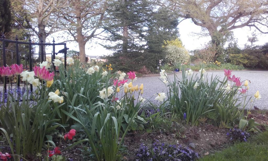 Twin Oaks Kilkenny