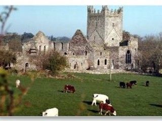 Oldtown Farmhouse 3* Kilkenny