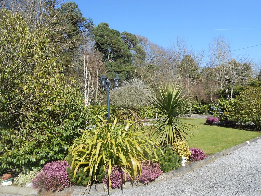 Moonarch 4* Kilkenny