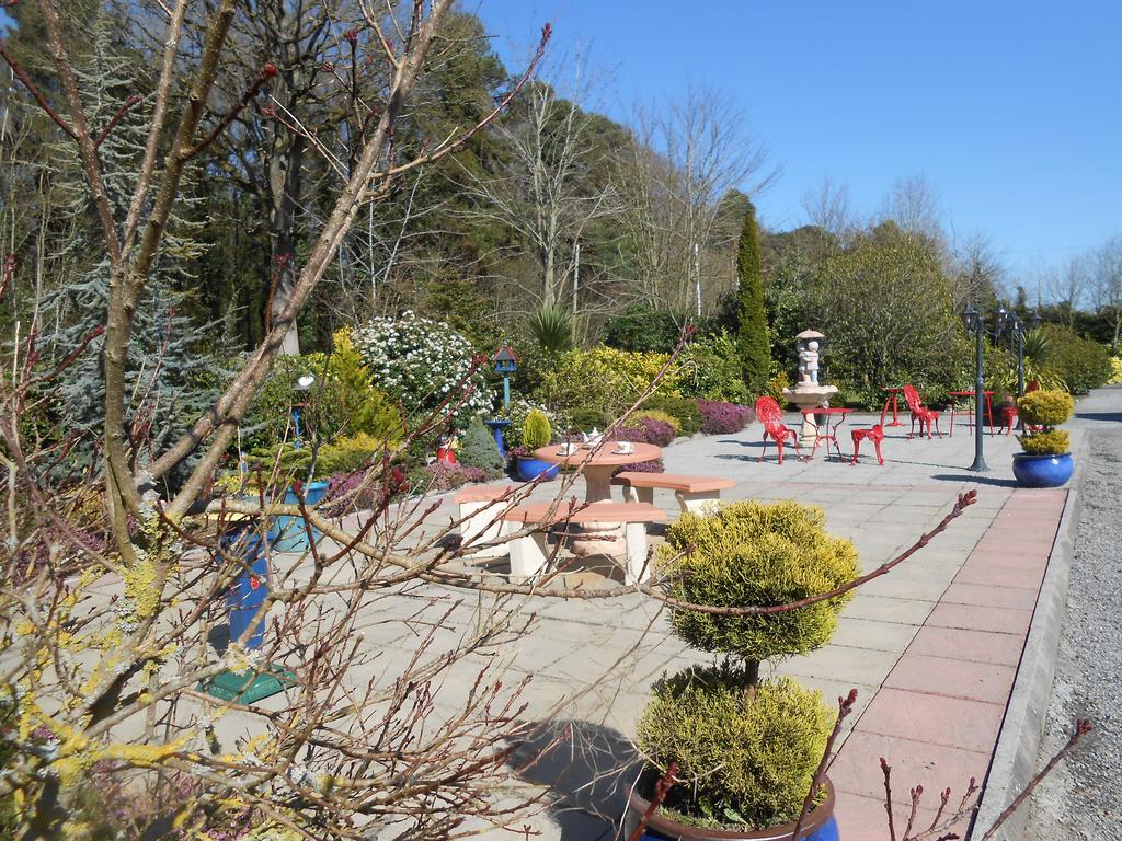 Moonarch Bed & Breakfast Kilkenny