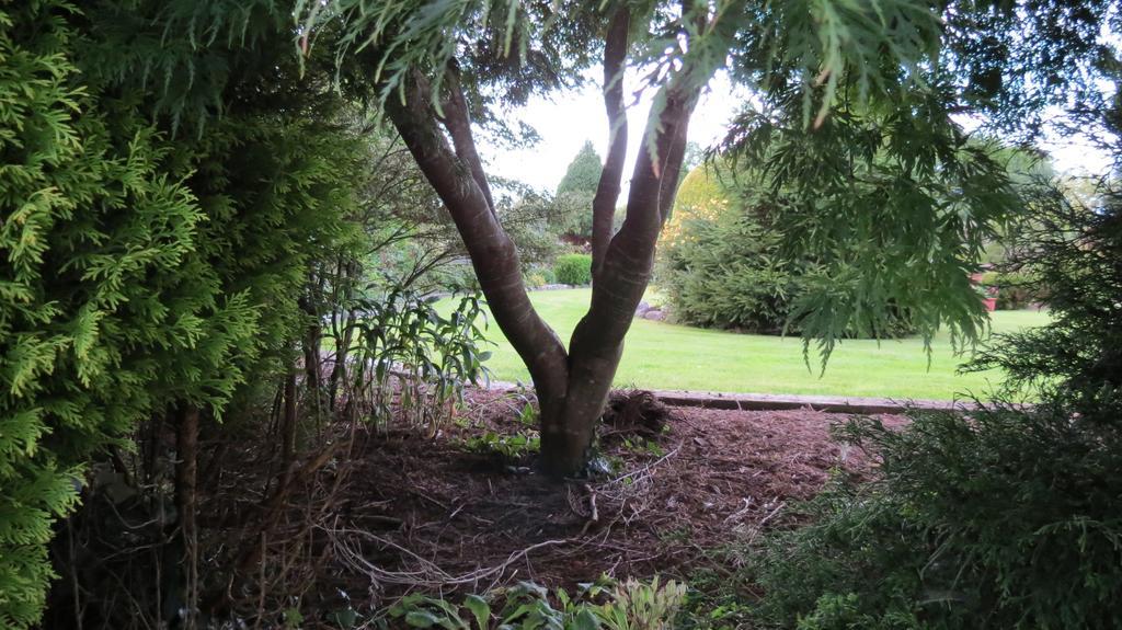 Rosewood Waterford Ireland