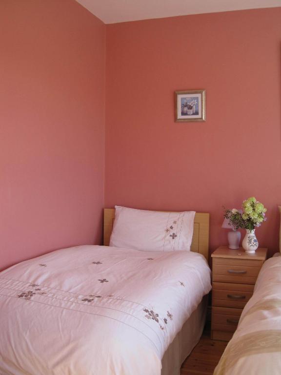 Bed & Breakfast Ashbrook House Kilkenny