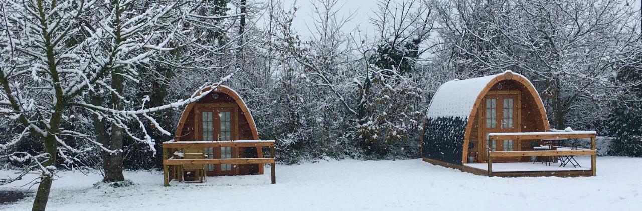 Glamping At Treegrove Campsite